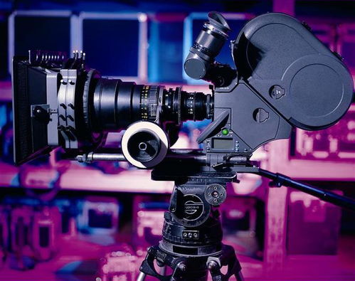 達令家Ben獨家分享 如何通過差異化廣告制作實現(xiàn)高效推廣引流